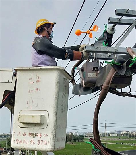 鳥巢怎麼處理|清潔鳥糞、移除鳥巢、冷氣清潔一次搞定！【防鳥大作戰】